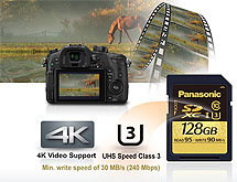 Panasonic 32GB SD Card