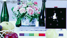 Panasonic AG-3DP1