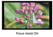 Panasonic AJ-HPX3100G