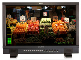 JVC DT-X24H LCD Monitor