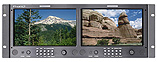 Offer DT-X91Hx2 JVC DUAL 8.9" Rack Display Monitor w/3GHD-SDI, HDMI at best price