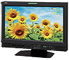 Offer JVC DT-V17G15E 17" production Monitor at best price