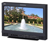 Offer JVC DT-E17L4GU 17" Multi-Format LCD Monitor (LED Backlit) at best price