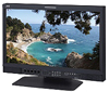 Offer DT-V21G11Z 21" Multi-Format Monitor (LED Backlit) at best price
