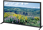 Offer JVC GM-552DU 55" Class Full HD Monitor at best price